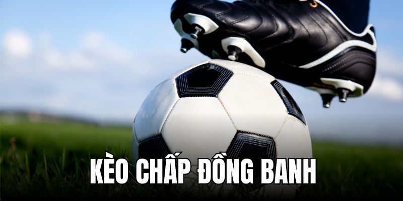 Nghiên cứu toàn diện trước khi chơi kèo chấp đồng banh